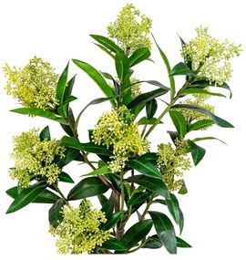 Pianta artificiale Skimmia - House Nordic