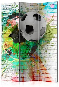 Paravento  Colourful Sport [Room Dividers]  Colore ---, Dimensioni e Misure 135x172