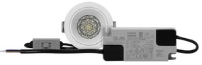 Faro da Incasso Bianco 8W Foro Ø55mm CCT 15°-55° con driver Philips Colore Bianco Variabile CCT
