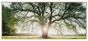 Quadro 150x60 cm Tree in the Sun