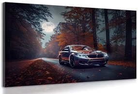 Stampa su tela – BMW al chiaro di luna