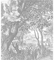 KEK Amsterdam Carta da parati panoramica Engraved Landscapes 4 - S