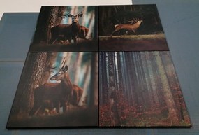 Set di quadri – Incanto degli animali del bosco