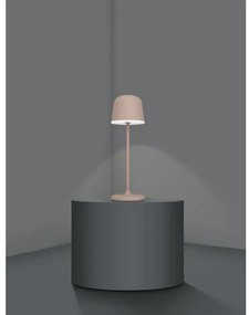 Eglo 900459 -Lampada LED dimmerabile da esterno MANNERA 2,2W/5V 1800mAh marrone IP54