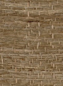 CMO Paris Tapete Abaca Herbacé - Pierre