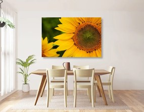Stampa su tela – Girasole giallo