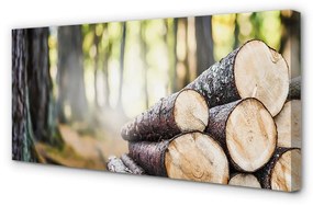 Quadro su tela Foresta naturale di legno 100x50 cm