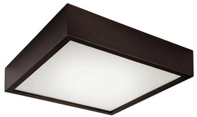 Lampada da soffitto 2xE27/60W/230V