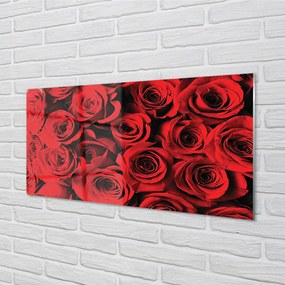 Quadro vetro acrilico Rose 100x50 cm