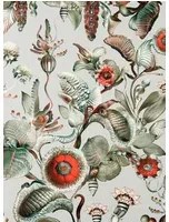 Moooi for Arte Carta da parati Coccinella Bella - Stone Grey