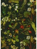 House of Hackney Tapete Herbarium - Forest-Green
