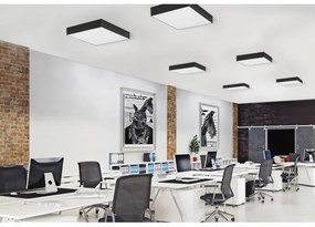 Azzardo AZ2274 - Plafoniera LED MONZA SQUARE 1xLED/50W/230V