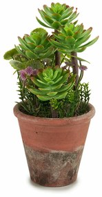 Pianta Decorativa Succulenta Plastica 16 x 23 x 16 cm (12 Unità)