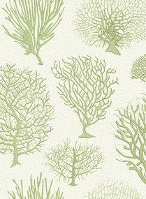 Cole & Son Carta da parati Seafern - Soft Green