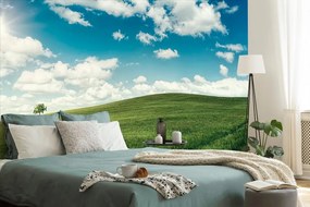 Carta da parati – Splendido giorno nel prato