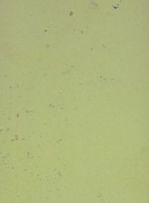 Terrastone Rustique floor - 15kg - 89 - Spring Green