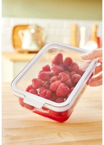 Organizer da frigo in plastica Cauma - Rotho