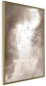 Poster  Disturbed Flight  Cornice Quadri Cornice d'oro, Larghezza x Altezza Home decor 20x30