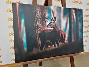 Stampa su tela – Cervo nella foresta di pini