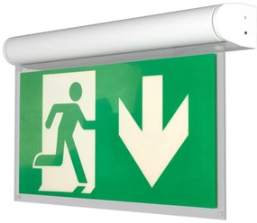 Lampada Emergenza a Bandiera, 3h, S.E S.A Cinema Mode - Bianca o nera Colore Bianco Freddo 6.000K, Colore del corpo Bianco