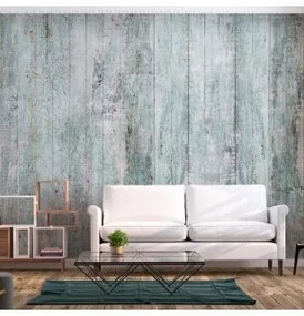 Carta da parati - Rustic Textures - First Variant Premium 450x315