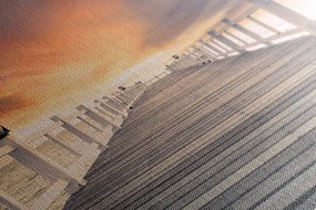Stampa su tela – Passeggiata di legno