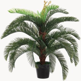 Pianta artificiale Palma Cycas