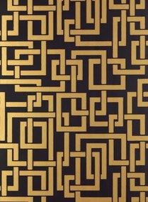 Farrow & Ball Carta da parati Enigma - Black/ Gold