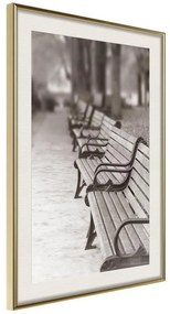 Poster  Park Alley  Cornice Quadri Cornice d'oro con passe-partout, Larghezza x Altezza Home decor 20x30