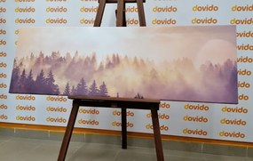 Stampa su tela – Nebbia sopra la foresta