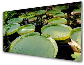 Quadro acrilico Foglie del lago della natura 100x50 cm