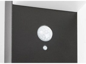 Rabalux 77009 - Luce solare a LED con sensore ZREBAR LED/6W/3,7V IP44