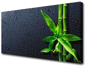 Quadro su tela Bambù Stelo Pianta Natura 100x50 cm