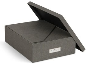 Organizzatori di documenti in cartone in set da 5 Holger - Bigso Box of Sweden