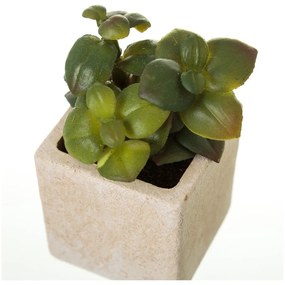 Piante artificiali in set da 6 (altezza 9,5 cm) Cactus - Casa Selección