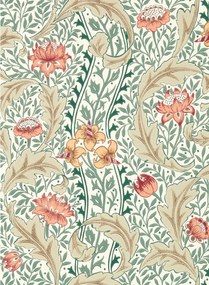Morris & Co Carta da parati Wild Tulip & Vine - Coral/ Teal