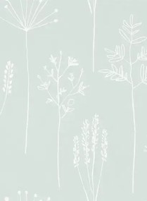 Gräser Tapete Stipa von Scion - Frost