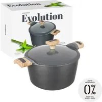 Pentola 22 cm con coperchio Evolution