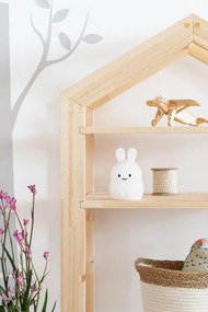 Scaffale Casetta piccolo