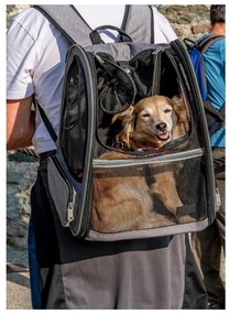 Borsa per animali domestici 27x33 cm - Love Story