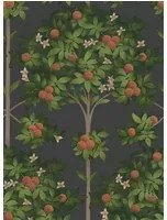 Cole & Son Carta da parati Orange Blossom - Orange/ Spring Green on Black