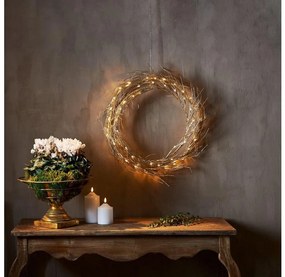 Eglo 411421 - Decorazione natalizia LED FIZZY 50xLED/0,06W/5/230V