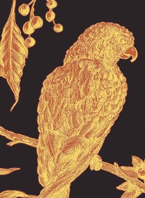 Lewis & Wood Carta da parati Squawk - Ink
