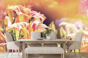 Carta da parati autoadesiva – Fiori in giardino