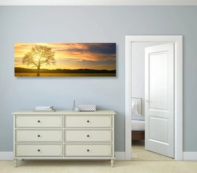Quadro su tela – Albero solitario