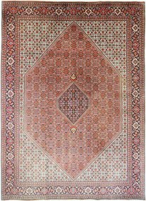 Bidjar Tappeto 250 x 350 Rosso (Iran) Annodato A Mano