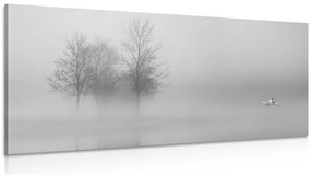 Quadro su tela – Alberi nella nebbia in bianco e nero