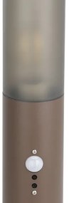 Eglo 900986 - Lampada da esterno con sensore HELSINKI 1xE27/15W/230V 45 cm IP44