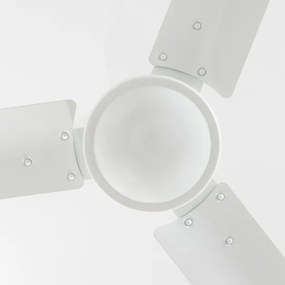 Globo 310 - Ventilatore da soffitto FERRO