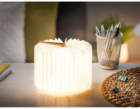Decorazione luminosa arancione con ricarica USB Booklight – Gingko